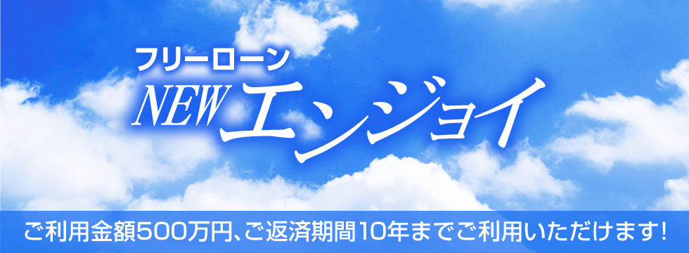 フリーローンNEWエンジョイ ご利用金額500万円、ご返済期間10年までご利用いただけます!