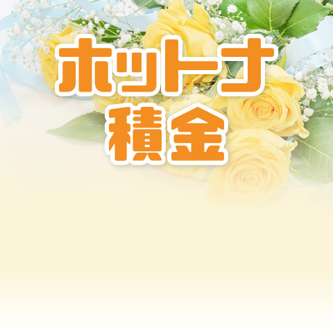 ［年金］特別金利定期積金 ホットナ積金